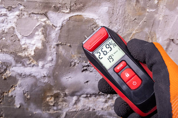 Best Residential Mold Removal  in Gunnison, UT