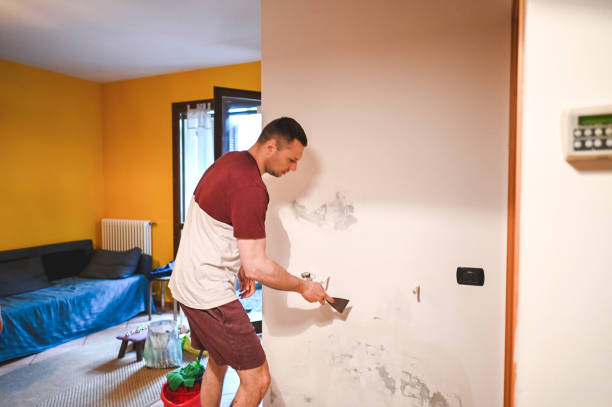 Best Mold Removal and Inspection  in Gunnison, UT