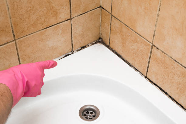 Best Mold Testing  in Gunnison, UT